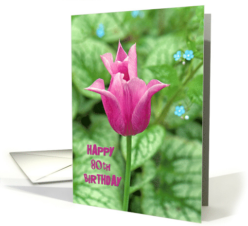 80th Birthday bright pink tulip with hosta garden background card