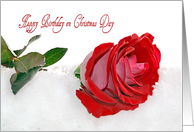 Sister’s Birthday on Christmas Day red rose in snow card