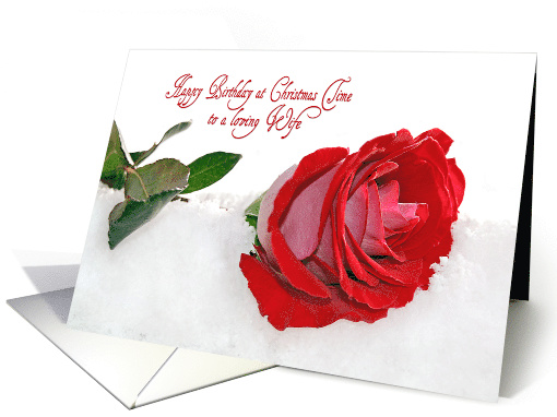 Wife's Birthday at Christmas time, red rose in snow card (1286784)