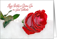 Godmother’s Birthday at Christmas time-red rose in snow card