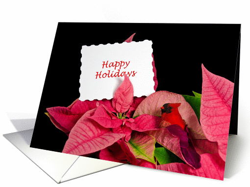 Happy Holidays-white card in poinsettia blossom with cardinal card