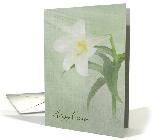 White Easter Lily with Sunbeams on Soft Green card (1303446)