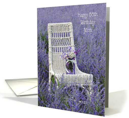 Chair In a Russian Sage Field For Mom's 88th Birthday card (1305560)