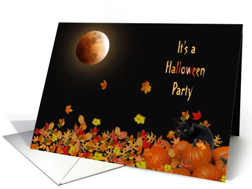 Halloween party invitation with cat in pumpkins and full moon card