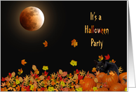 Halloween party invitation with cat in pumpkins and full moon card