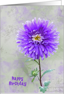 Birthday-purple dahlia with soft textured background card