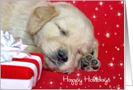 Happy Holidays for Parents-golden retriever pup with gift card