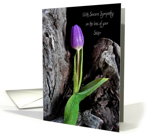 Sister sympathy-purple tulip with raindrops on driftwood card