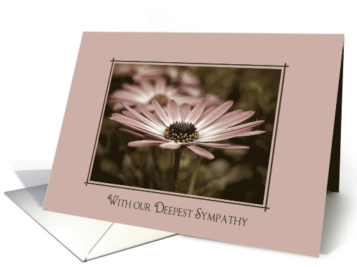 Sympathy From Couple, Pink Daisy Close Up card (1317394)