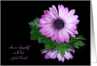 Loss of Parents sympathy-purple daisy reflection on black card