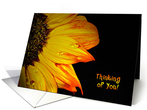 Thinking of You-close up of a sunflower with water droplets card