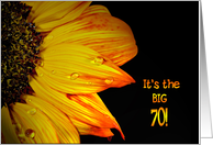 70th Birthday, close up of a sunflower with water droplets card