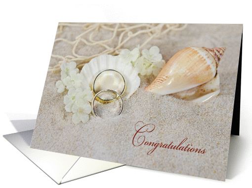 wedding congratulations-wedding rings in seashell with... (1323334)