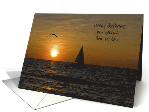 Son in law's Birthday, sailboat sailing at sunset with seagull card
