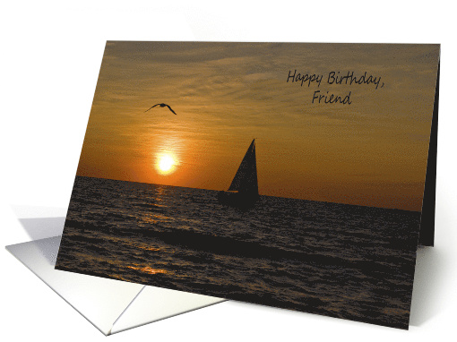 Friend's Birthday, sailboat sailing at sunset with seagull card