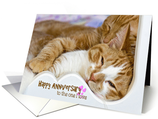 Anniversary for spouse, pair of tabby cats snuggling card (1327464)