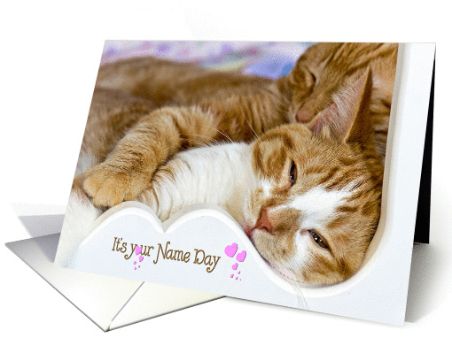 Name Day for Daughter-pair of tabby cats snuggling card (1327468)