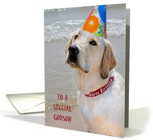 Godson's Birthday-Labrador Retriever with a party hat on a beach card
