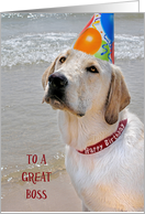 Boss’s Birthday, Labrador Retriever with a party hat on a beach card