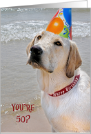 50th Birthday Labrador Retriever with a party hat on a beach card