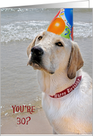 30th Birthday Labrador Retriever with Party Hat On Beach card