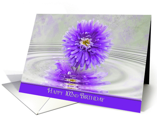 102nd Birthday-purple dahlia with water rippled reflection card