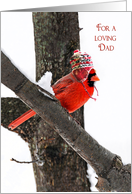 Dad’s Christmas, male cardinal with winter hat on a branch card