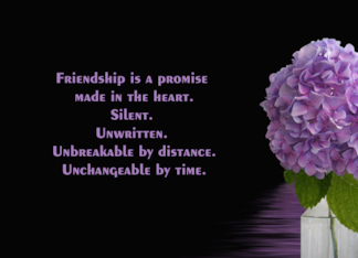 Purple Hydrangea...