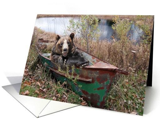 bear in rusty row boat card (156666)