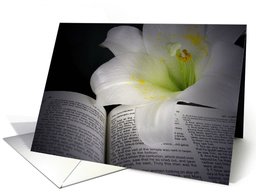 Illumuninated Easter lily on a Holy Bible. card (158442)
