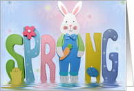 Easter, spring, bunny card