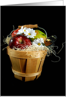 butterfly on apple basket with white daisy on black card