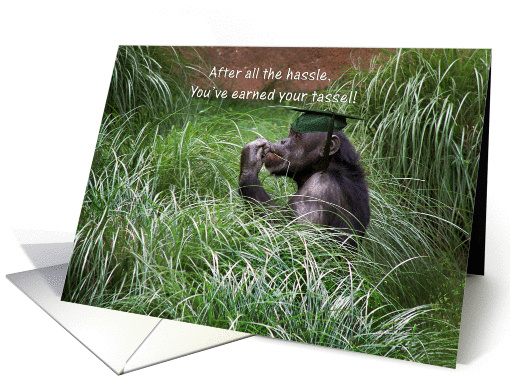 Chimpanzee with graduation hat card (178643)