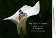 Tree Nymph Butterfly In White Calla Lily for Sympathy card