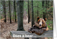Bear Sitting at a Picnic Table In the Woods for Birthday card