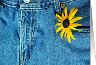 Birthday-Black-eyed Susan flower in blue jean pocket card