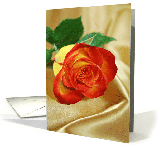 Orange Rose on Gold Satin for a Friend card (240593)