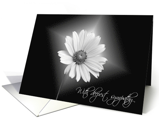 Glowing White Daisy Flower on Black for Sympathy card (244459)