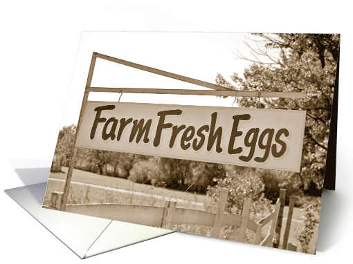 Fresh Eggs For Sale Farm Sign card (263636)