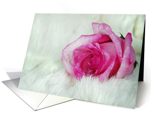 Soft Pink card (268736)