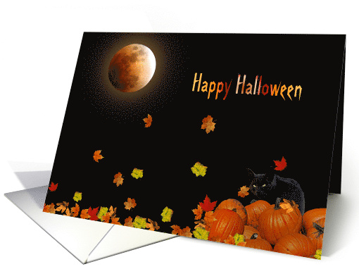 Halloween Black Cat In Pumpkins And Leaves With Full Moon card