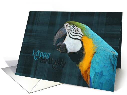 parrot portrait on plaid background for birthday card (277116)