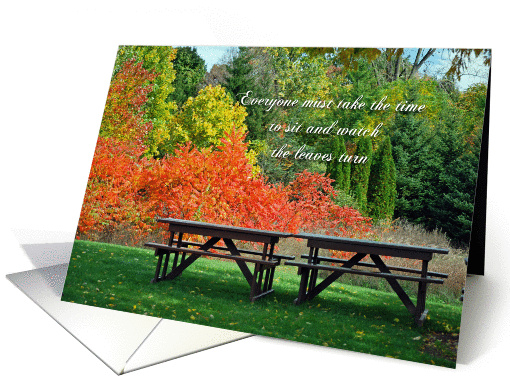 Silent Splendor card (279639)