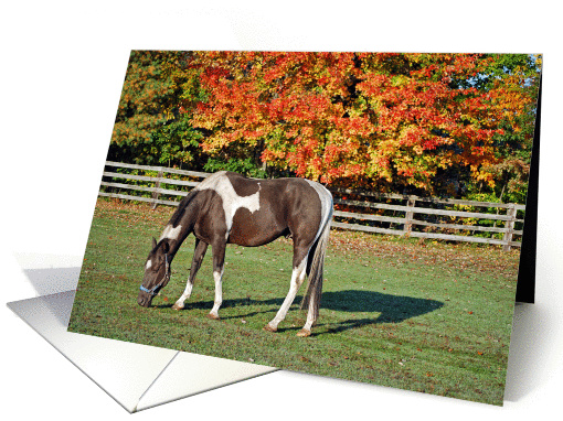 Paint In Color card (281690)