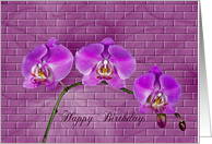 Nature’s Beauty card
