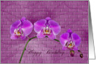 Nature’s Beauty card