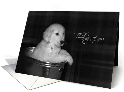 Thinking of you golden retriever in old washtub card (335823)