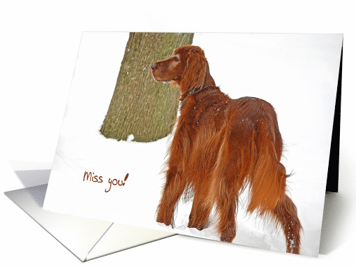 Missing You Irish Setter dog portrait in snow card (363205)