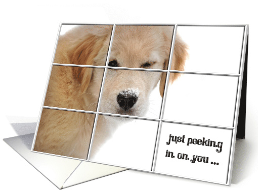 Get Well Soon Golden Retriever puppy in winter window card (368933)