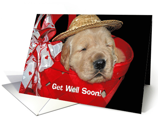 Get Well Soon golden retriever with hat in red basket card (370256)
